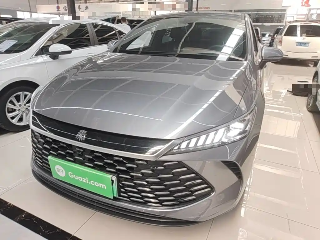 BYD Qin PLUS — фото 2