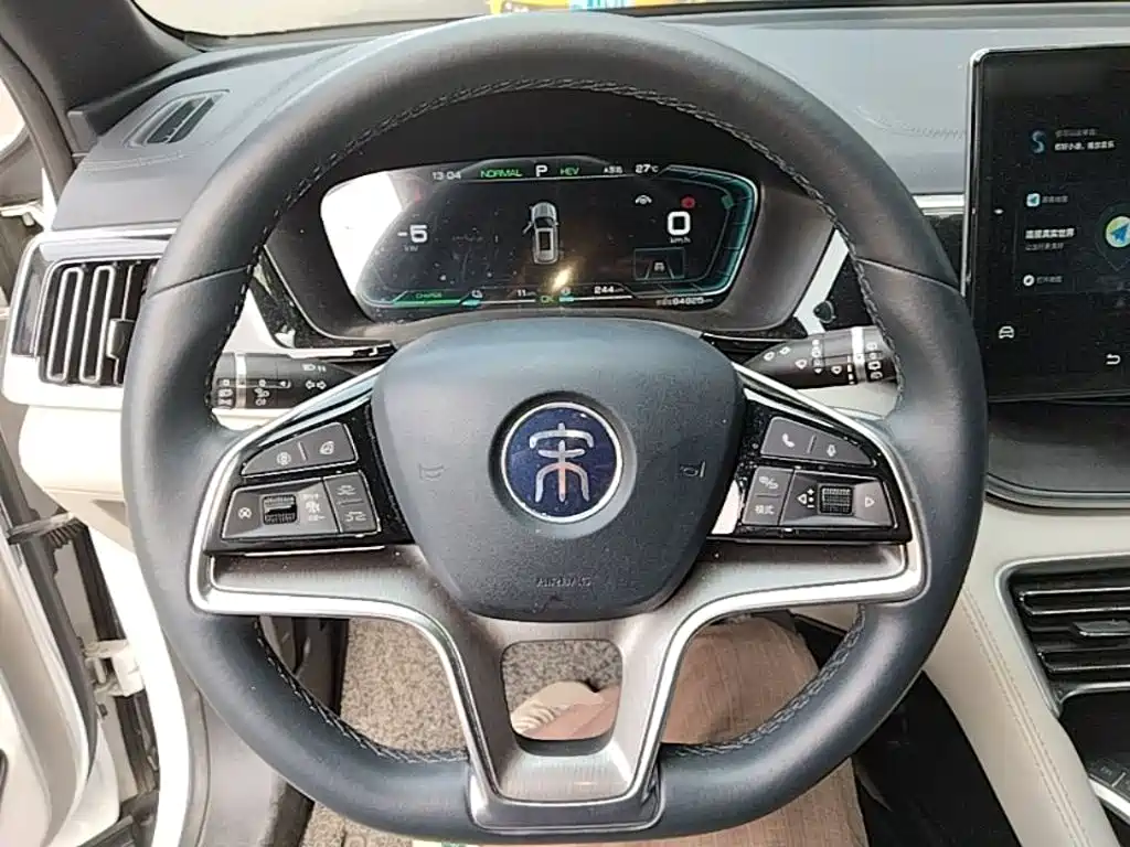 BYD PLUS New Energy — фото 11