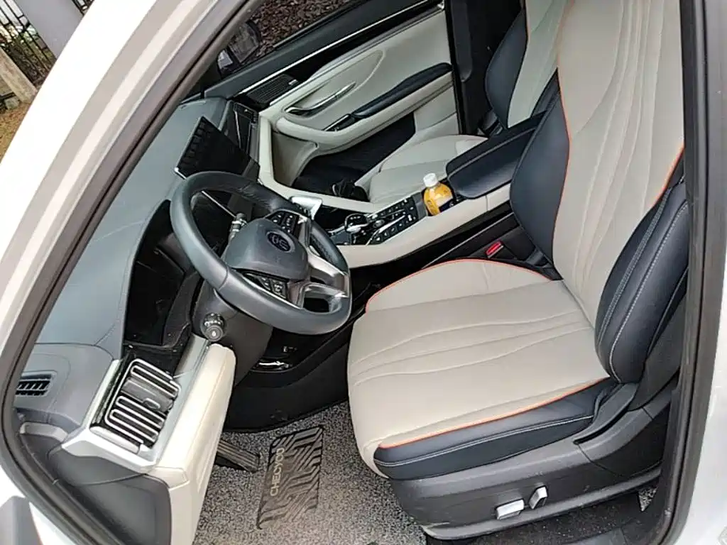 BYD PLUS New Energy — фото 15