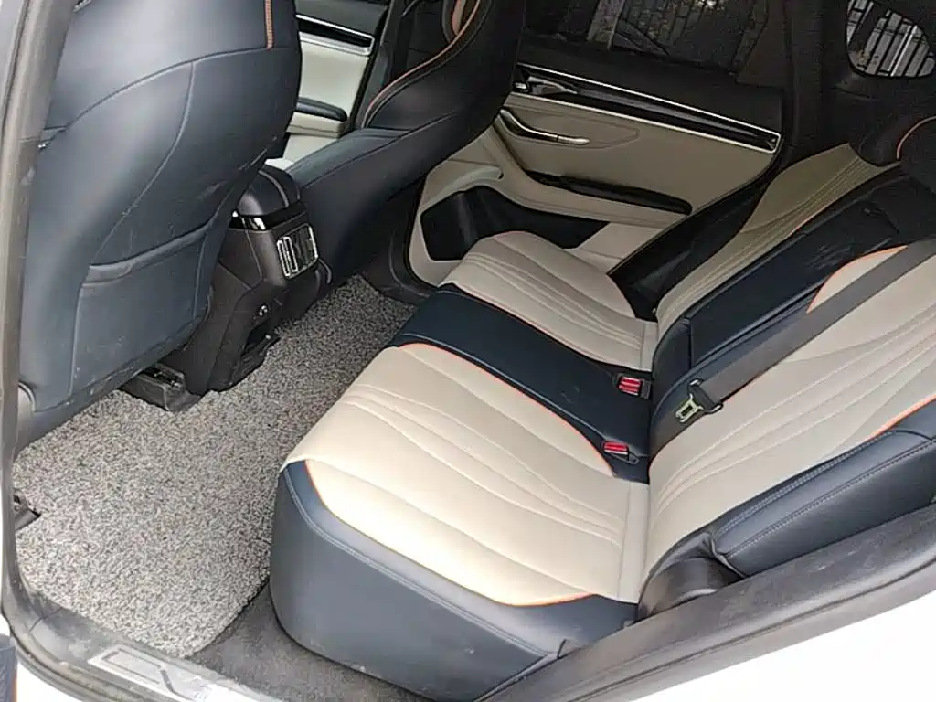 BYD PLUS New Energy — фото 17