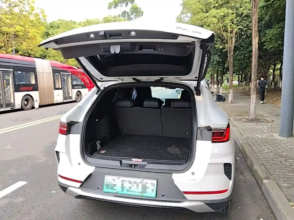 BYD PLUS New Energy — фото 19