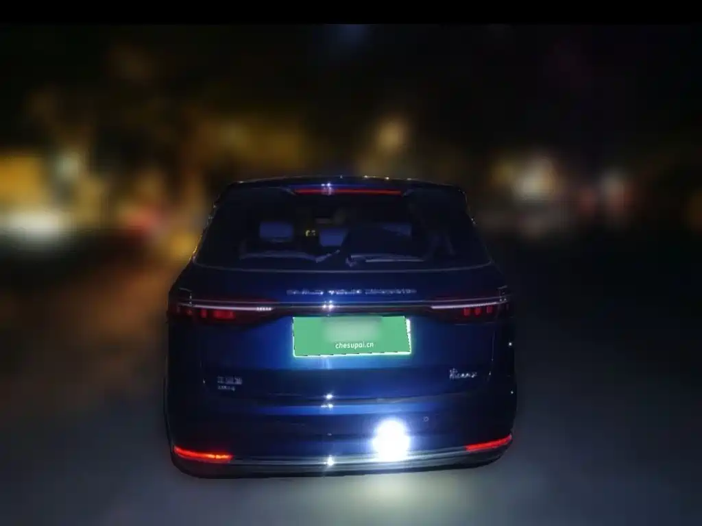 BYD MAX New Energy — фото 24