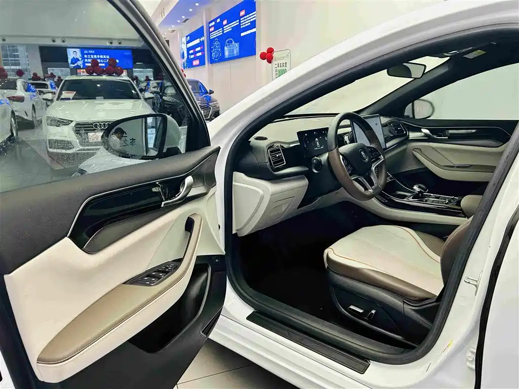 BYD Qin PLUS — фото 20