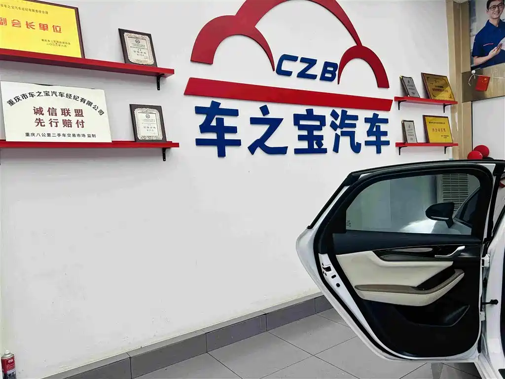 BYD Qin PLUS — фото 24