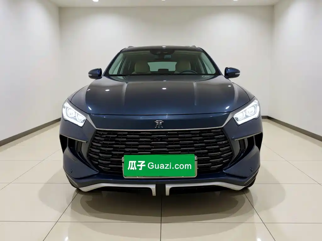 BYD Pro New Energy — фото 2