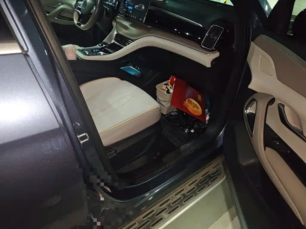 BYD Pro New Energy — фото 19