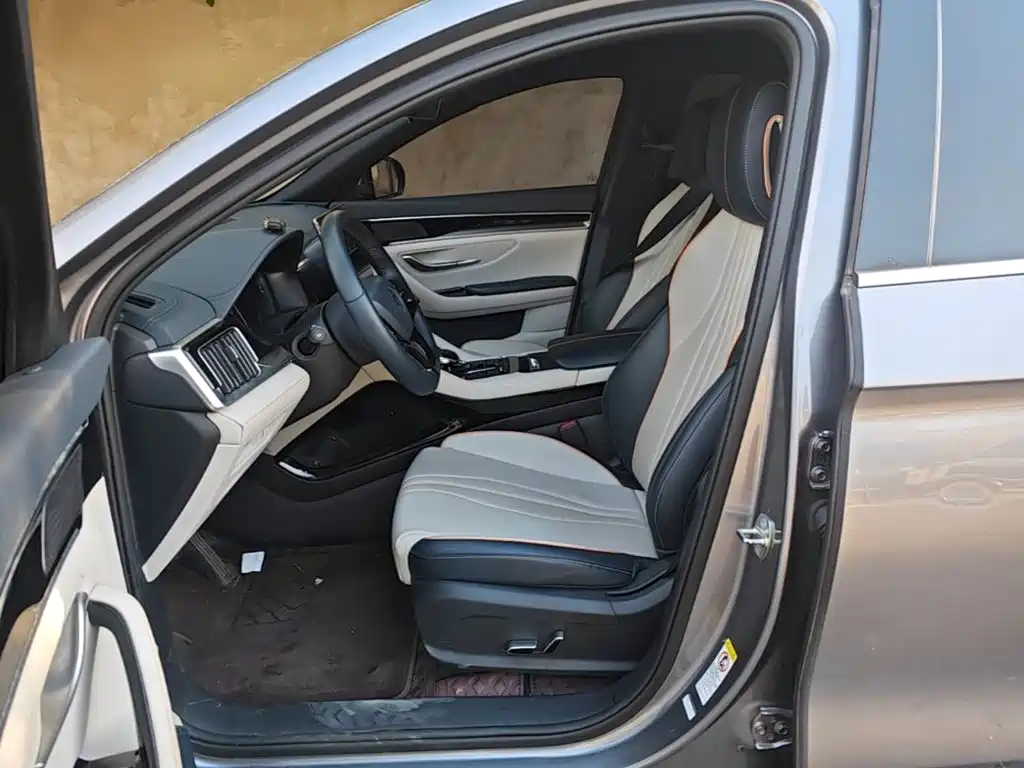 BYD PLUS New Energy — фото 15