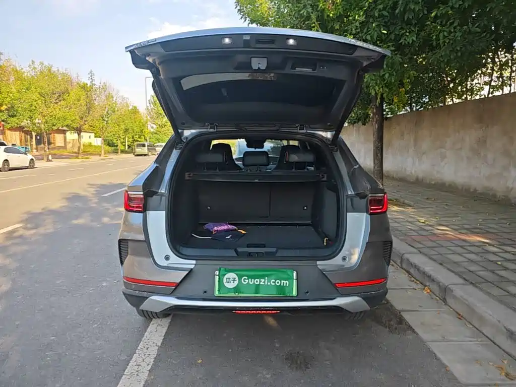 BYD PLUS New Energy — фото 19