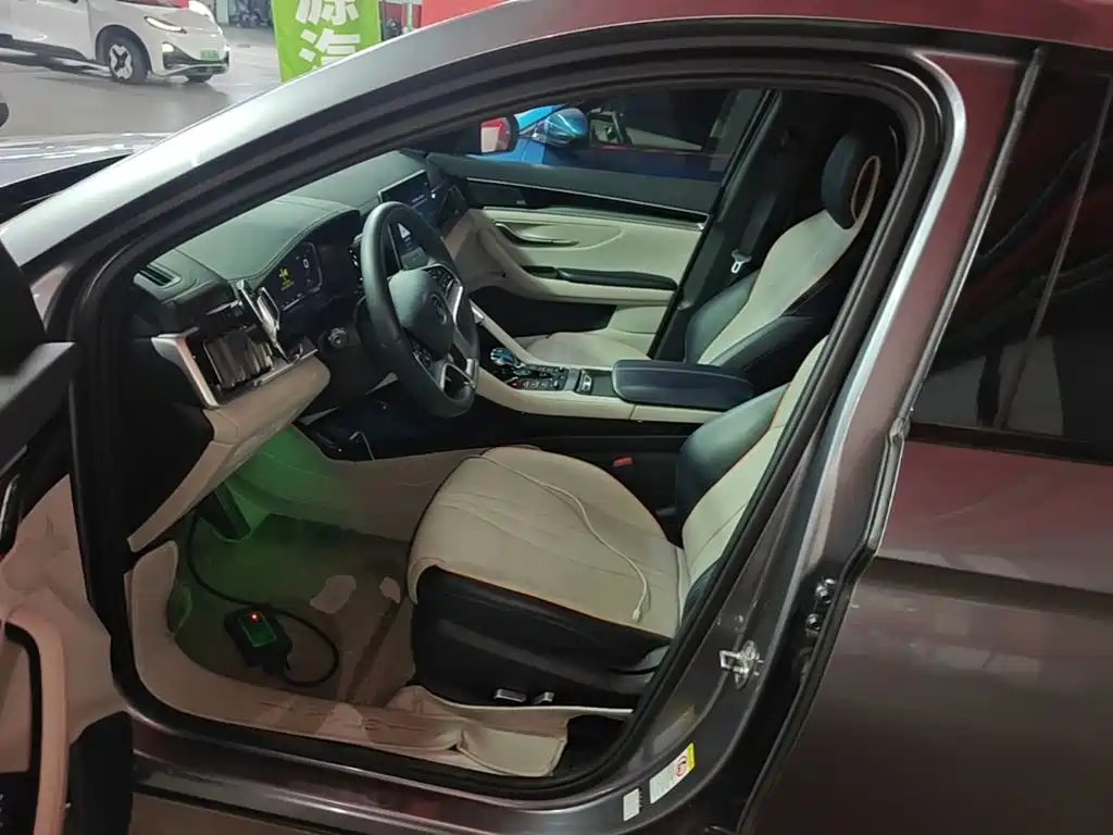 BYD PLUS New Energy — фото 15