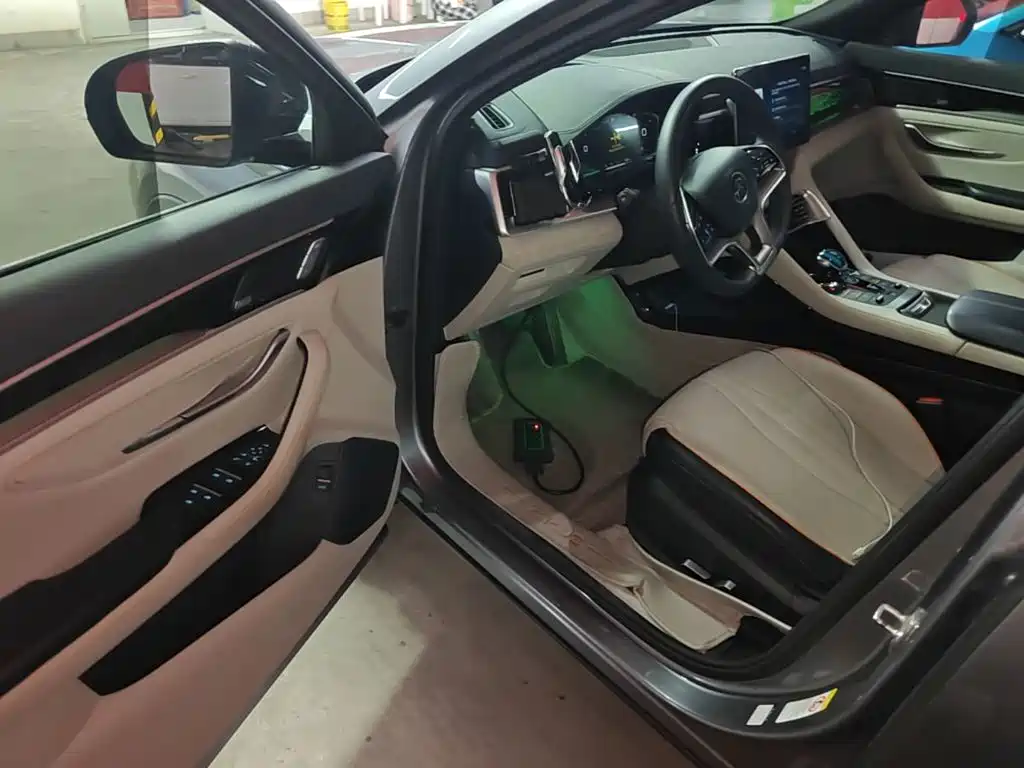 BYD PLUS New Energy — фото 16