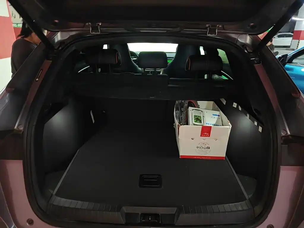 BYD PLUS New Energy — фото 19