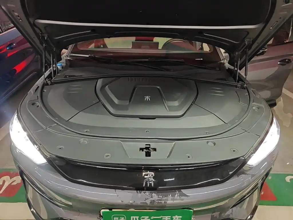 BYD PLUS New Energy — фото 20