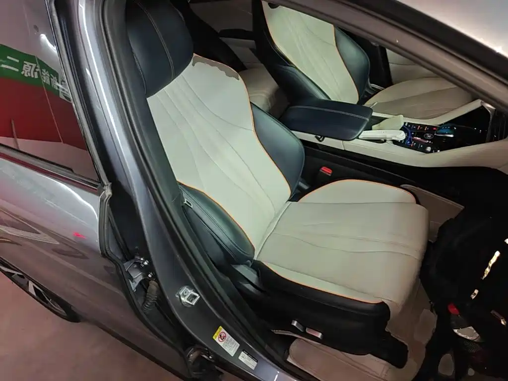 BYD PLUS New Energy — фото 25