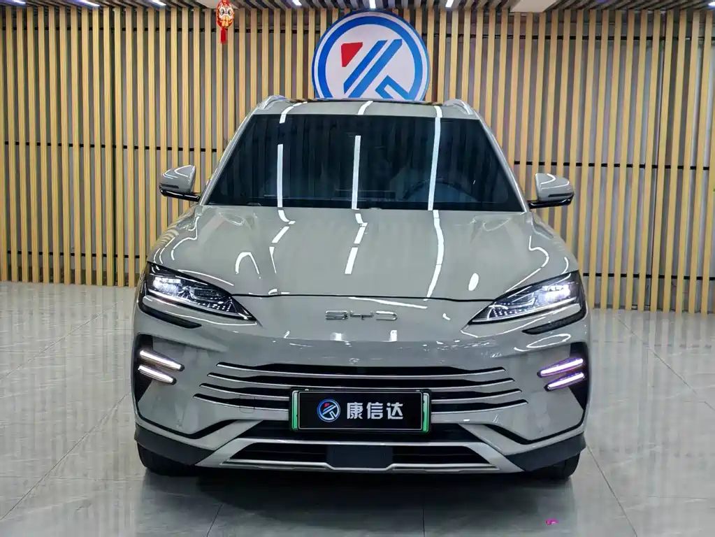 BYD PLUS New Energy — фото 2
