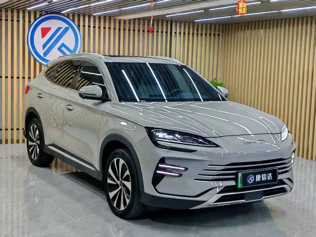 BYD PLUS New Energy — фото 3