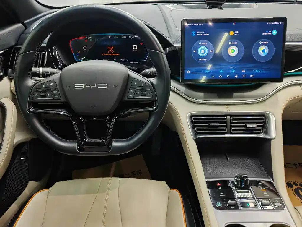 BYD PLUS New Energy — фото 6