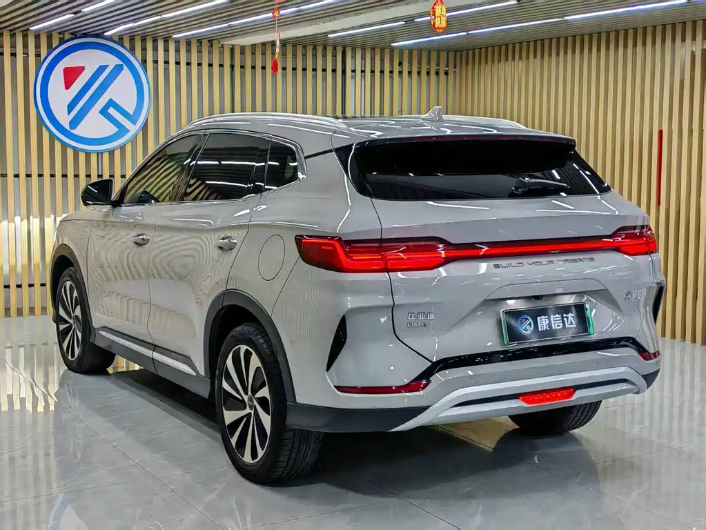 BYD PLUS New Energy — фото 7