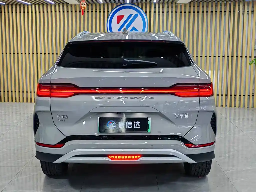 BYD PLUS New Energy — фото 8