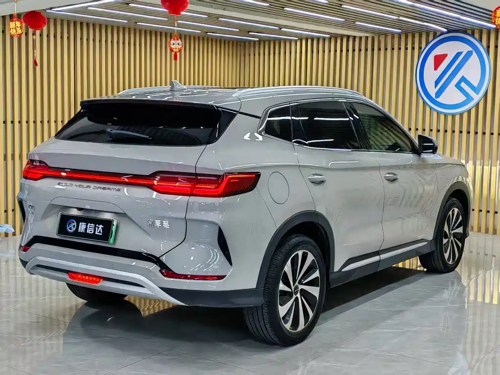BYD PLUS New Energy — фото 9