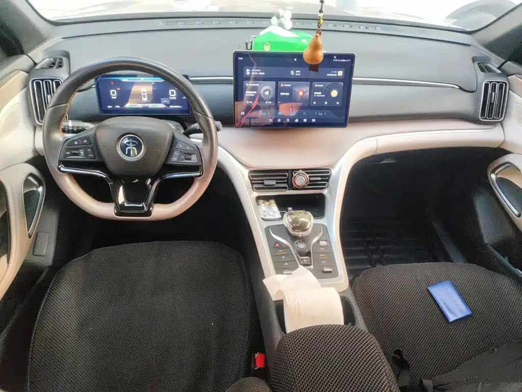 BYD Pro New Energy — фото 13