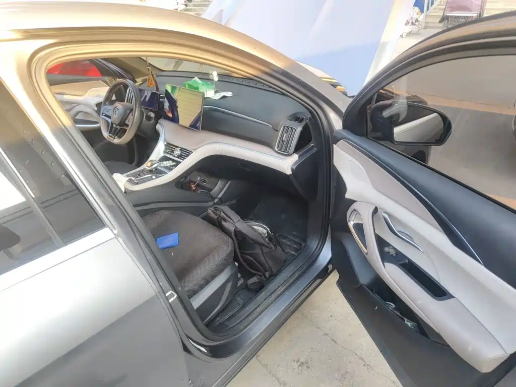 BYD Pro New Energy — фото 18