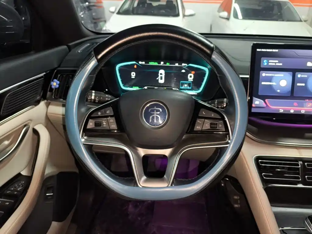 BYD PLUS New Energy — фото 11