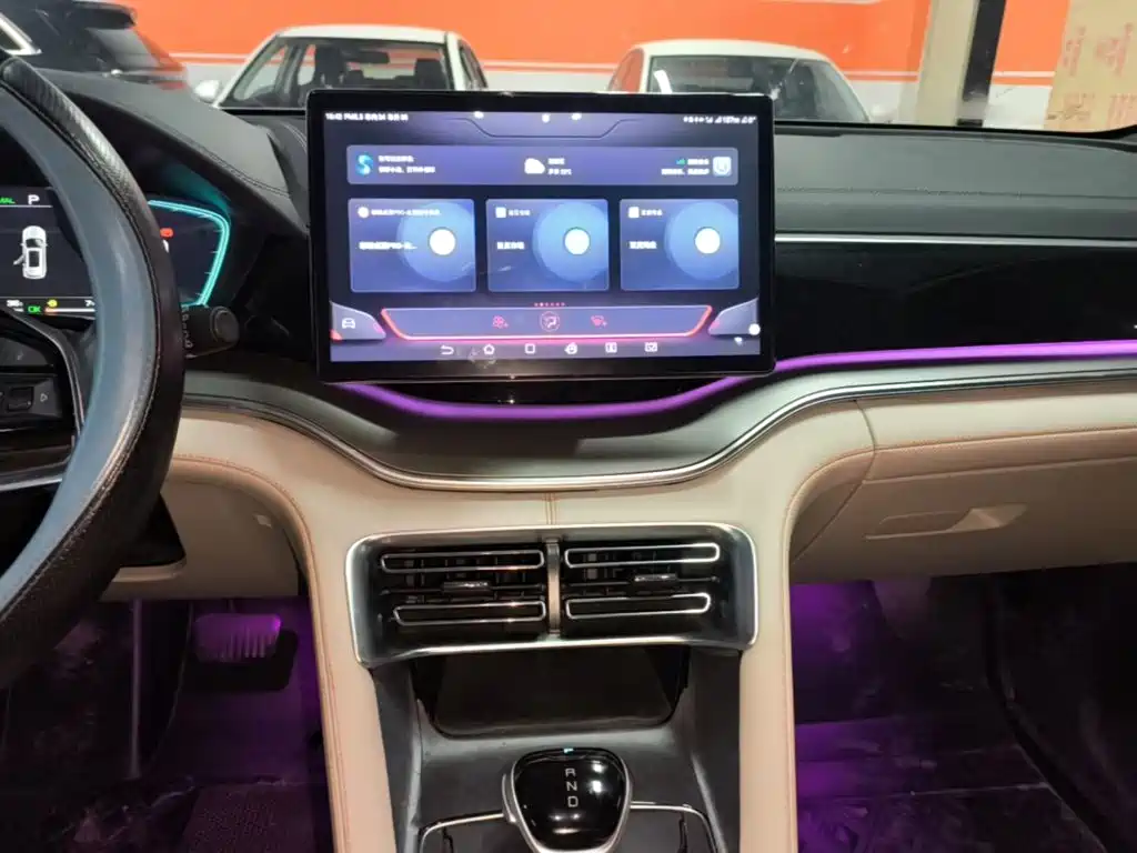 BYD PLUS New Energy — фото 13