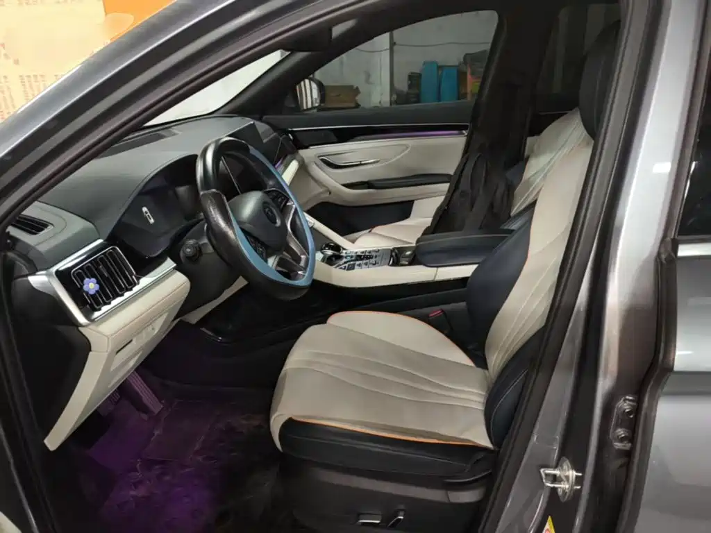BYD PLUS New Energy — фото 15