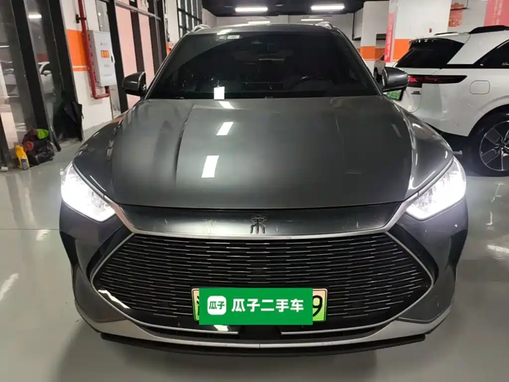 BYD PLUS New Energy — фото 3