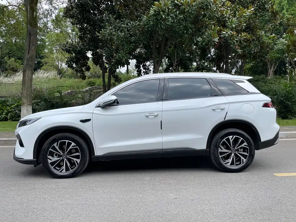 BYD Pro New Energy — фото 4