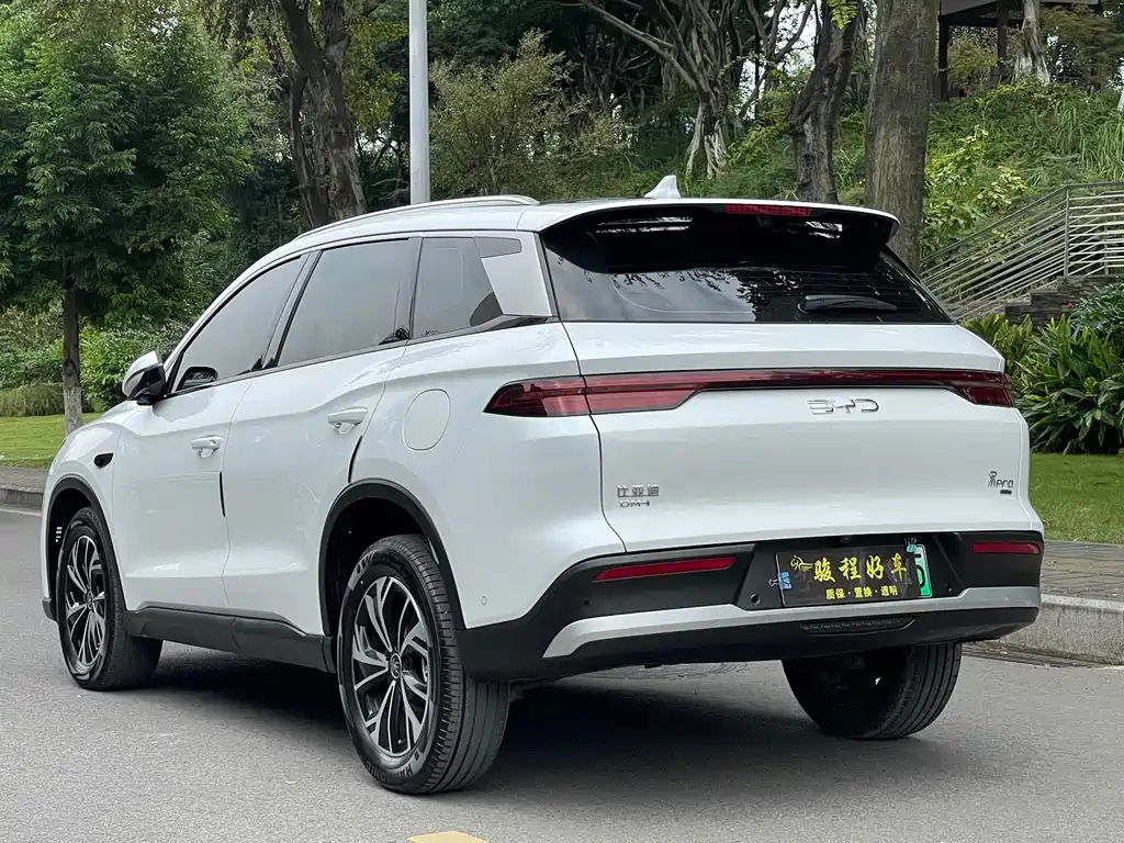 BYD Pro New Energy — фото 5