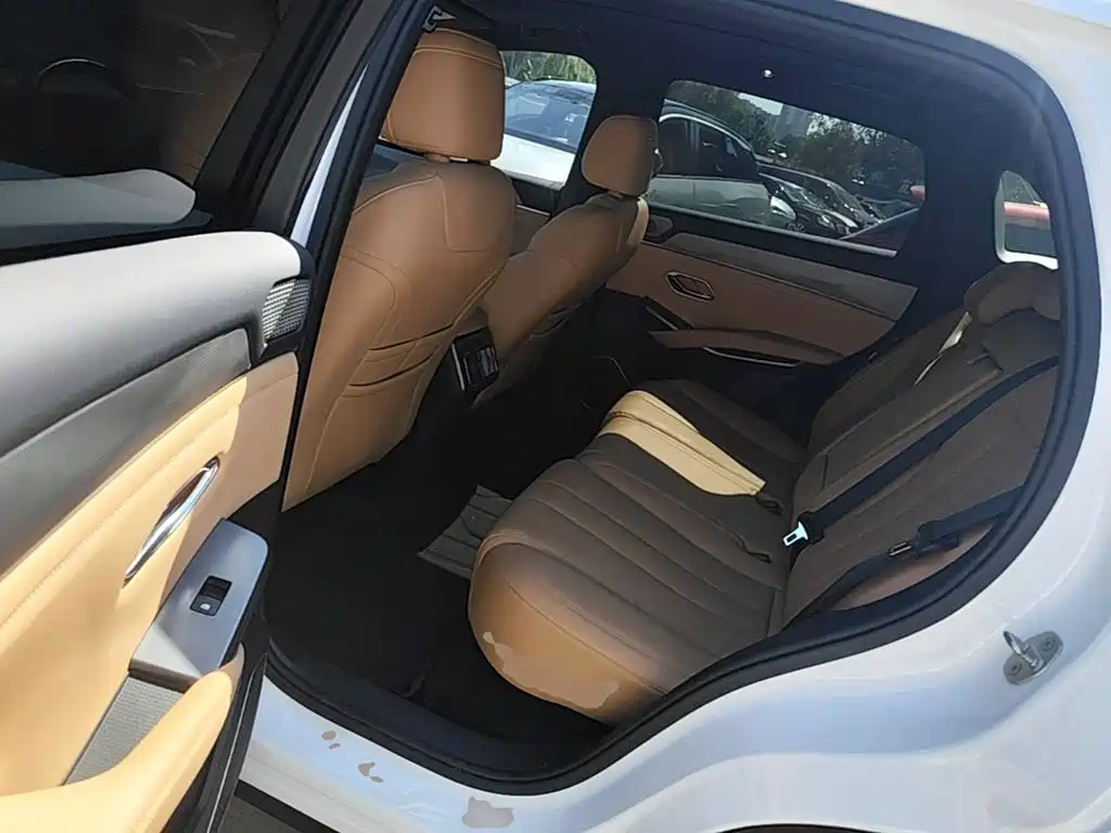BYD L DM-i — фото 17