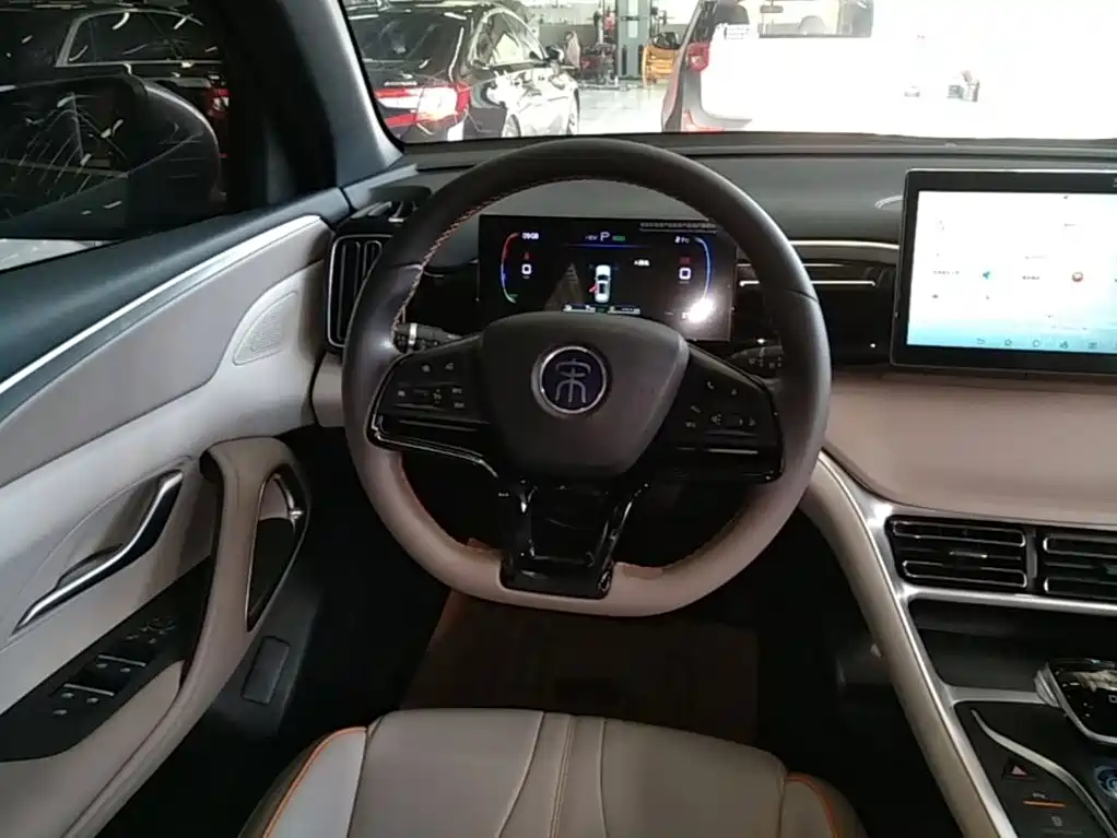 BYD Pro New Energy — фото 11
