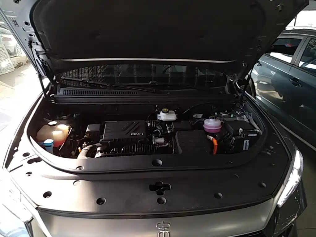 BYD Pro New Energy — фото 20