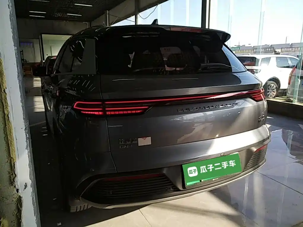 BYD Pro New Energy — фото 5