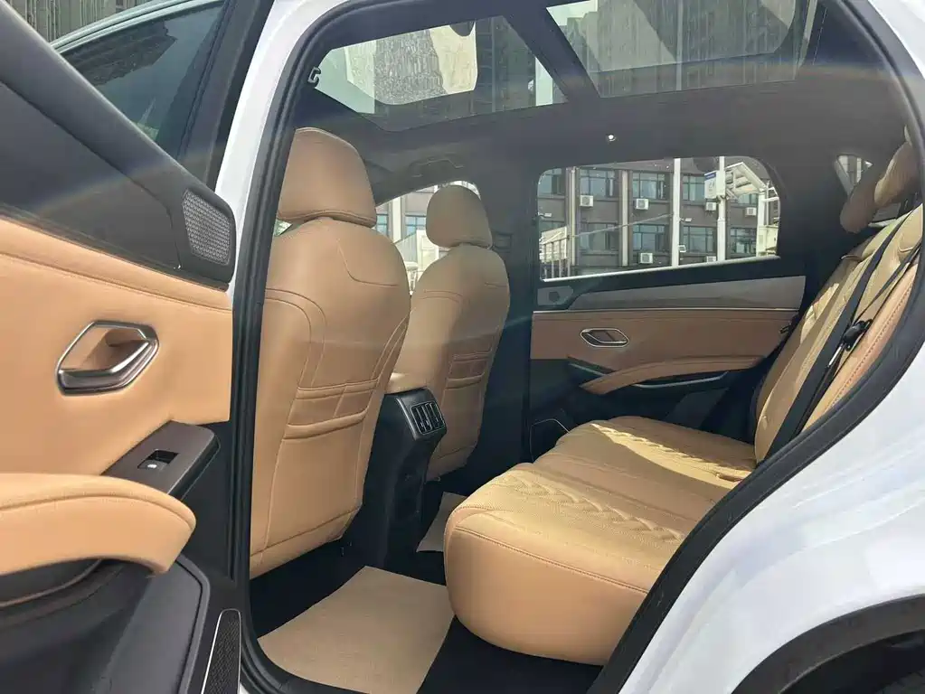 BYD L DM-i — фото 8