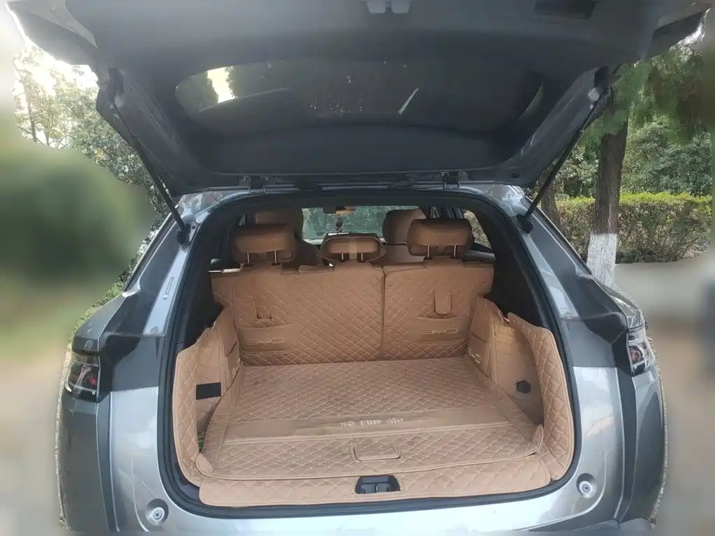 BYD L DM-i — фото 15
