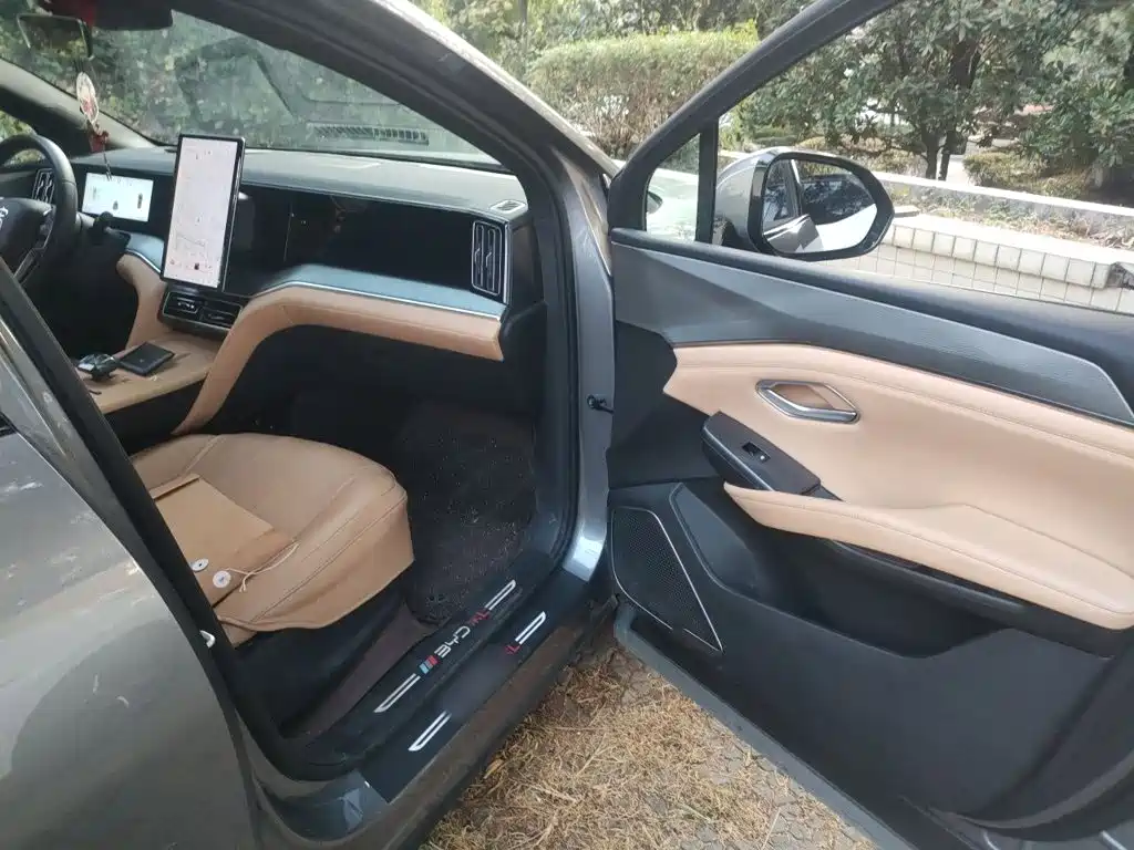 BYD L DM-i — фото 19