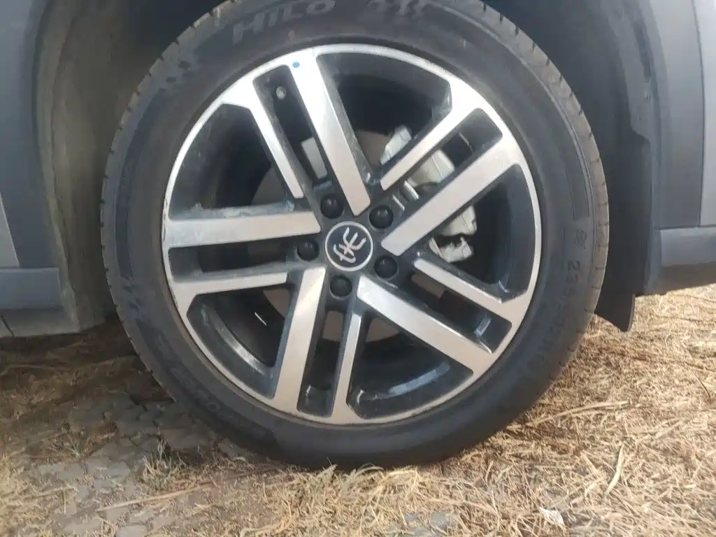 BYD L DM-i — фото 24