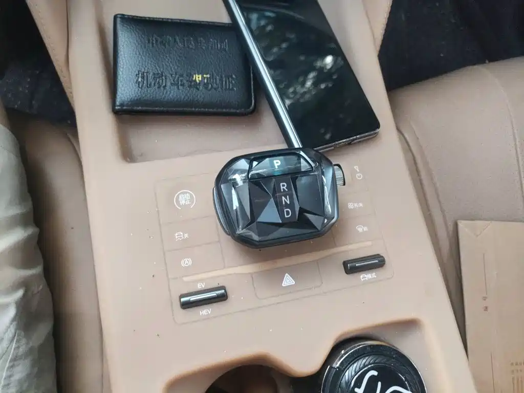 BYD L DM-i — фото 10