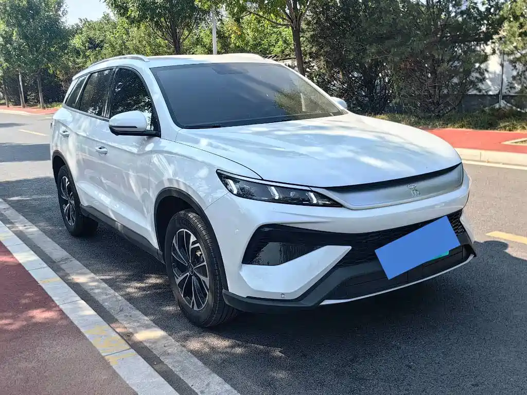 BYD Pro New Energy — фото 3