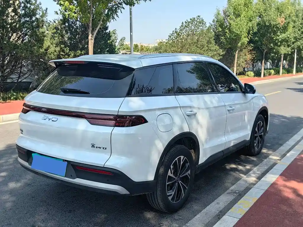 BYD Pro New Energy — фото 4