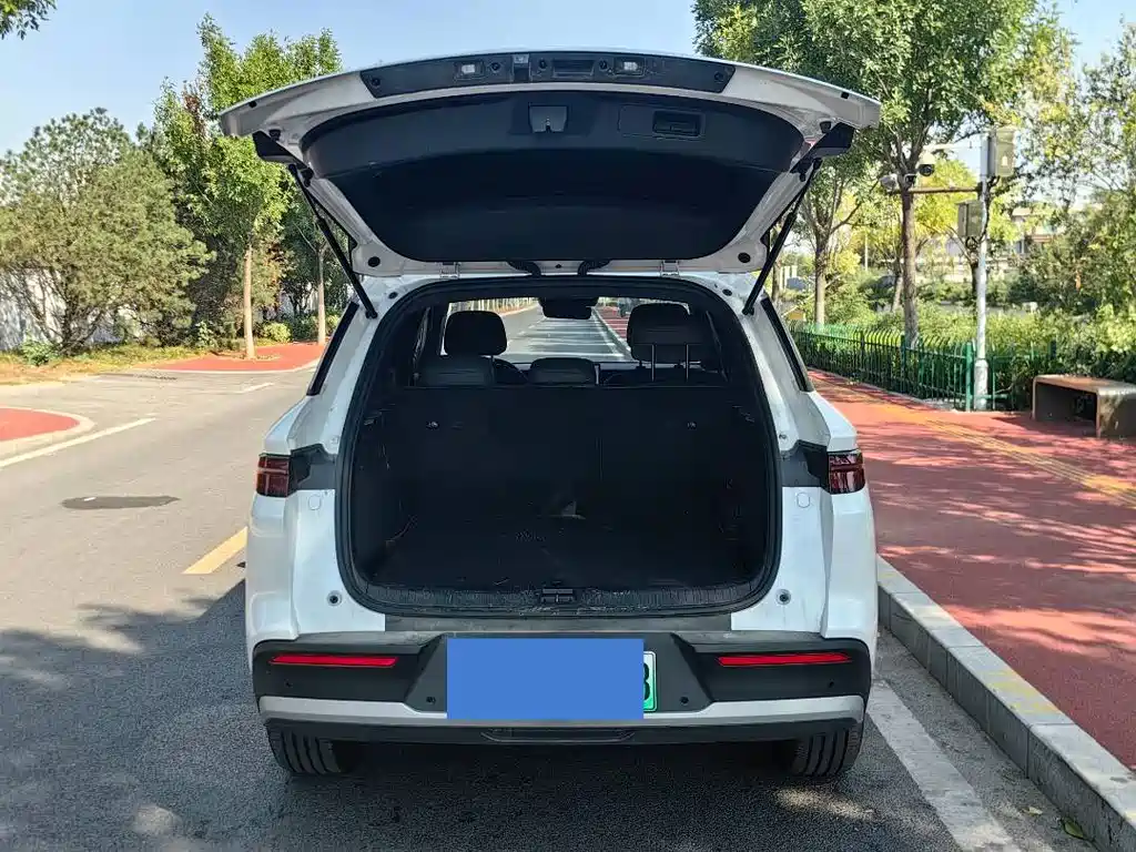 BYD Pro New Energy — фото 6