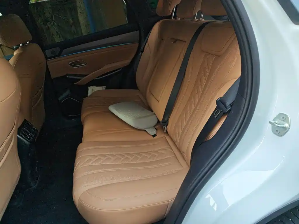 BYD L DM-i — фото 13