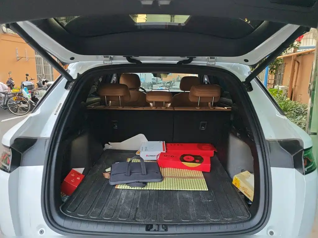 BYD L DM-i — фото 15