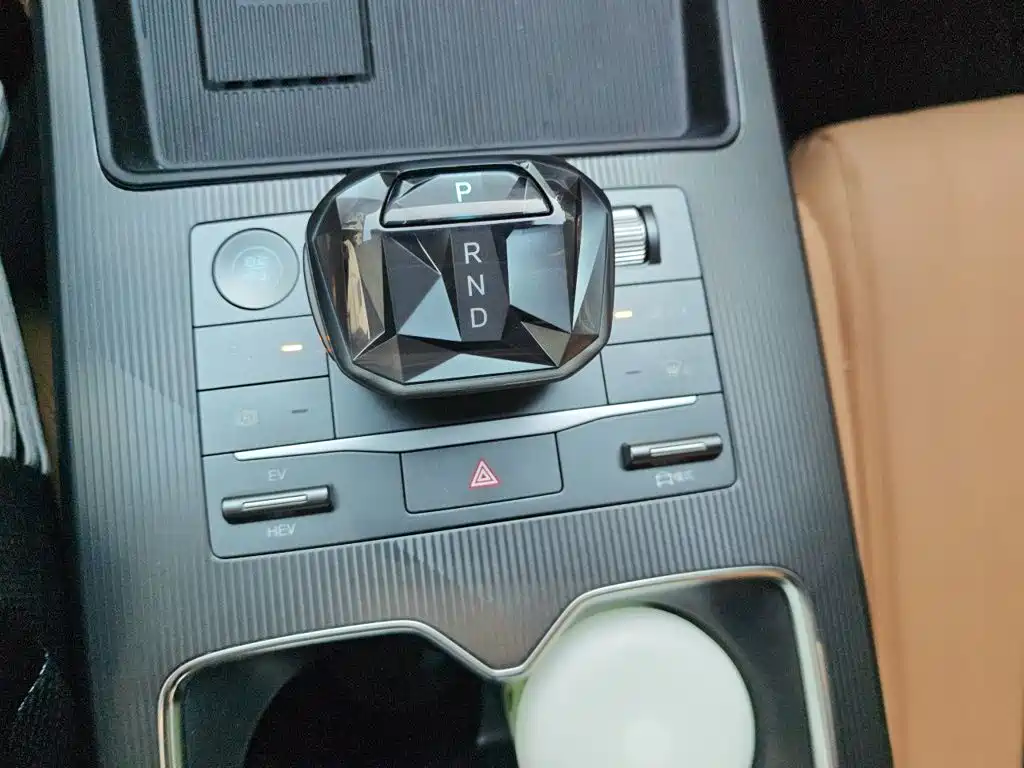 BYD L DM-i — фото 10