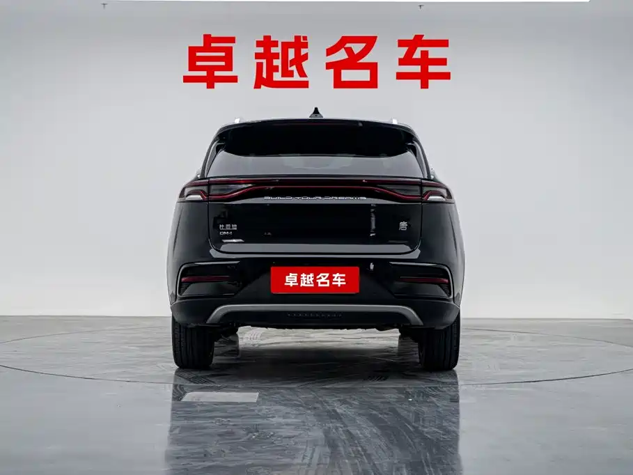 BYD Tang New Energy — фото 2