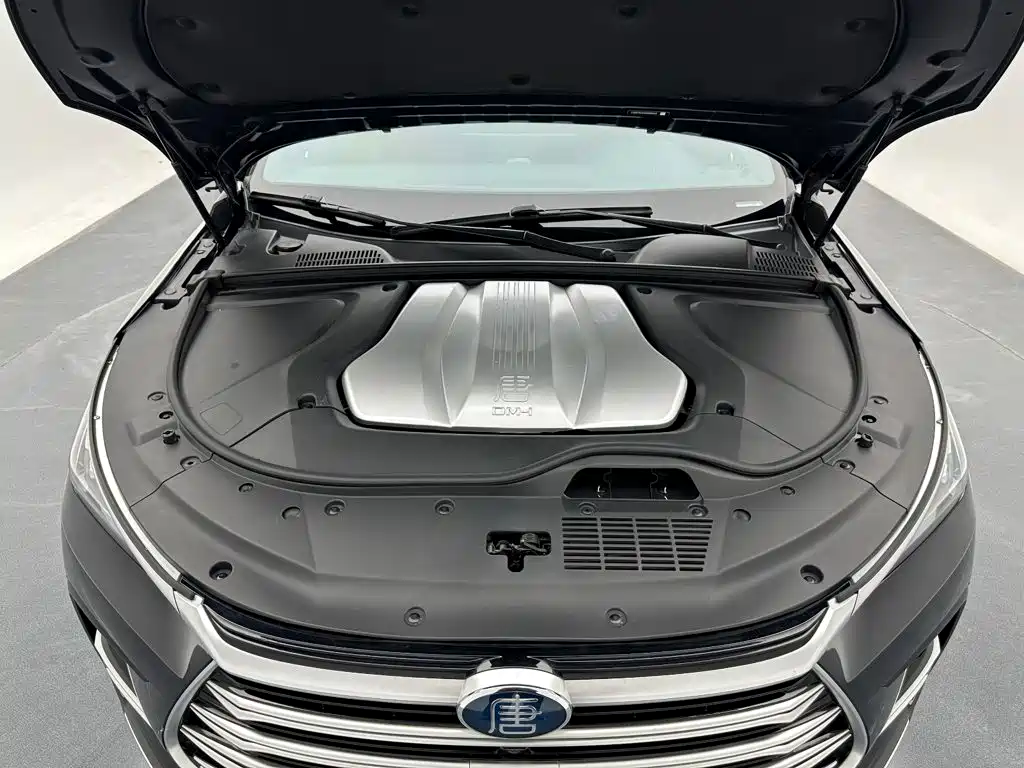 BYD Tang New Energy — фото 25