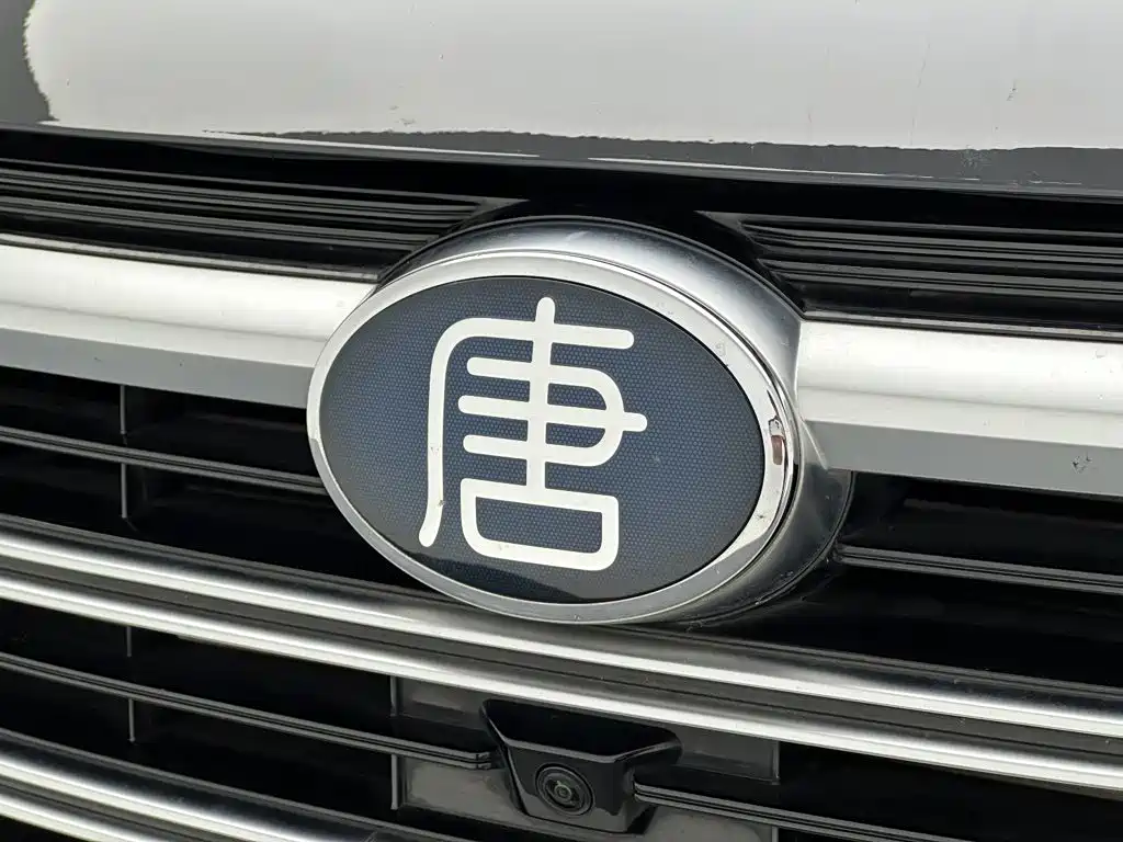 BYD Tang New Energy — фото 26