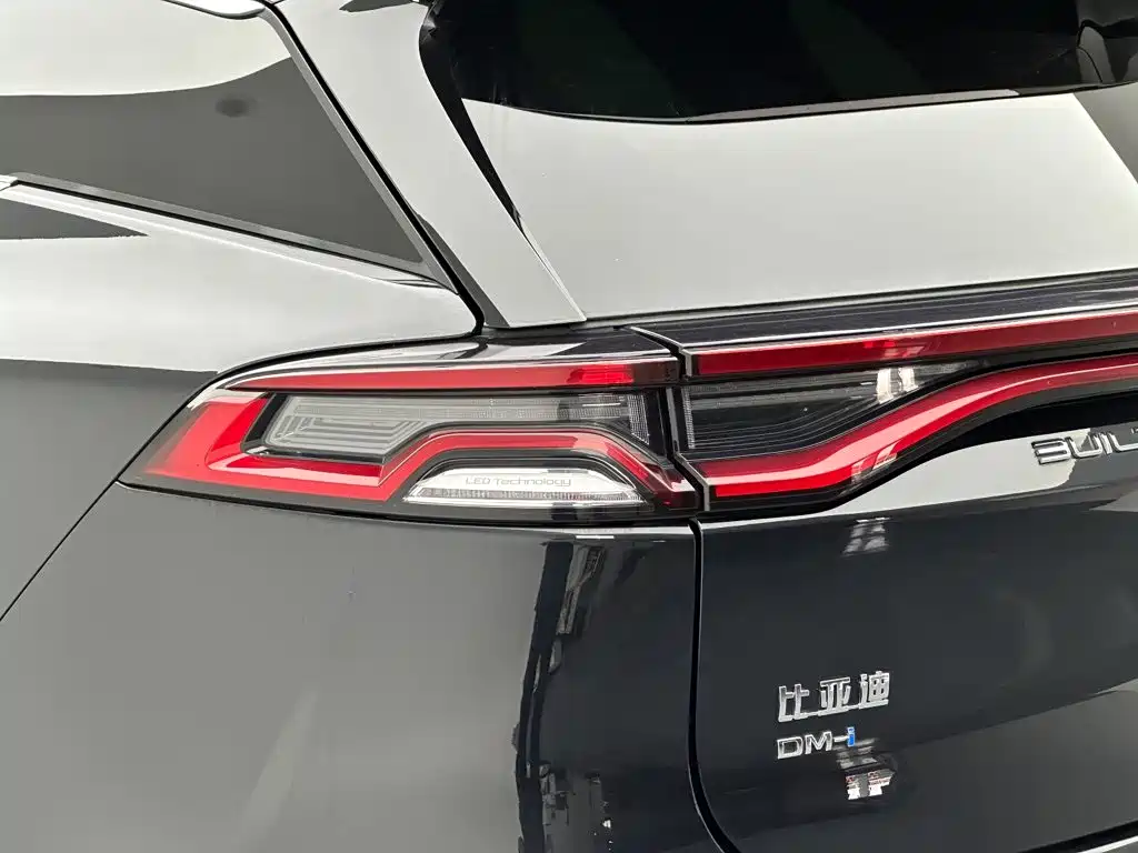 BYD Tang New Energy — фото 31